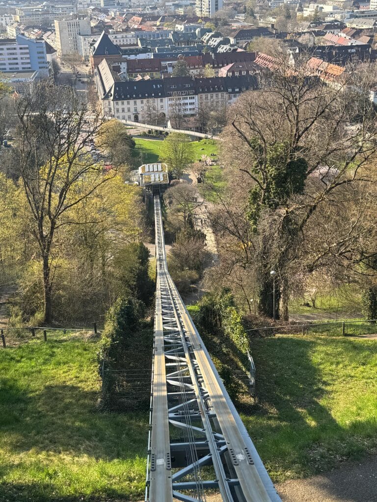 WhatsApp Image 2026-03-18 at 18.23.48